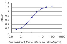 CHRM2 Antibody in ELISA (ELISA)