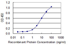 CHRND Antibody in ELISA (ELISA)