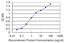 CHUK Antibody in ELISA (ELISA)