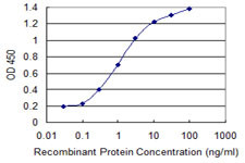 CHUK Antibody in ELISA (ELISA)