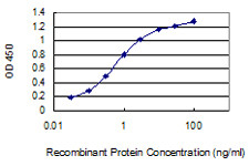 CKM Antibody in ELISA (ELISA)