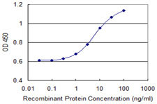 CLCA1 Antibody in ELISA (ELISA)