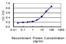 CLCN2 Antibody in ELISA (ELISA)