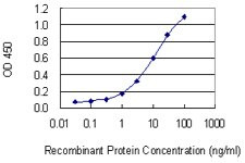 CNR2 Antibody in ELISA (ELISA)