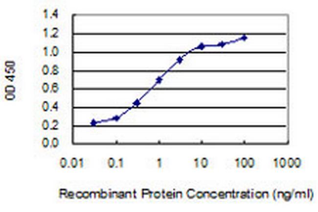 CORT Antibody in ELISA (ELISA)