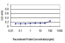 COX6C Antibody in ELISA (ELISA)