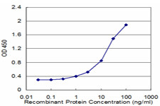 CLDN4 Antibody in ELISA (ELISA)