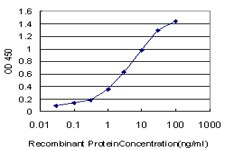 CPS1 Antibody in ELISA (ELISA)