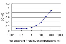 CREB1 Antibody in ELISA (ELISA)