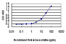 CREB1 Antibody in ELISA (ELISA)