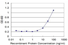 CREB1 Antibody in ELISA (ELISA)