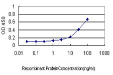 ATF2 Antibody in ELISA (ELISA)