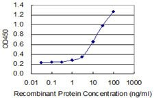 CRH Antibody in ELISA (ELISA)