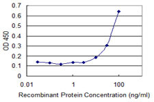 CRHBP Antibody in ELISA (ELISA)