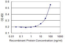 CRMP1 Antibody in ELISA (ELISA)