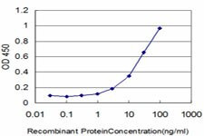 CRX Antibody in ELISA (ELISA)