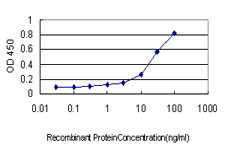 CSE1L Antibody in ELISA (ELISA)