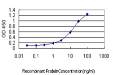 CSE1L Antibody in ELISA (ELISA)