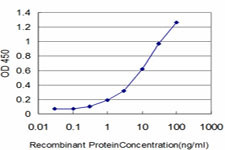 CSE1L Antibody in ELISA (ELISA)