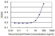 CSF2RA Antibody in ELISA (ELISA)