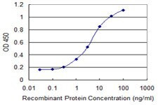 CSTA Antibody in ELISA (ELISA)