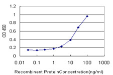 CTBP1 Antibody in ELISA (ELISA)