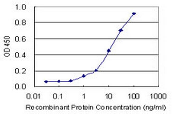 CTBP1 Antibody in ELISA (ELISA)