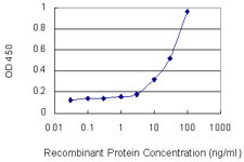 CTGF Antibody in ELISA (ELISA)