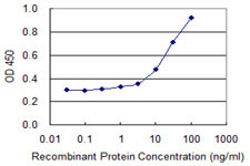 CTLA4 Antibody in ELISA (ELISA)