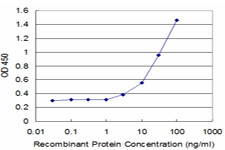 CX3CR1 Antibody in ELISA (ELISA)