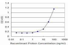 CYP2D6 Antibody in ELISA (ELISA)