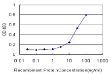 CYP2J2 Antibody in ELISA (ELISA)