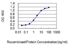 CYP7A1 Antibody in ELISA (ELISA)