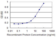 DAD1 Antibody in ELISA (ELISA)