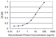 DAF Antibody in ELISA (ELISA)