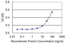 DAXX Antibody in ELISA (ELISA)