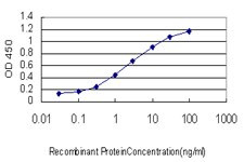 DAZ1 Antibody in ELISA (ELISA)