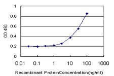 DCK Antibody in ELISA (ELISA)