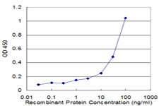 DCN Antibody in ELISA (ELISA)