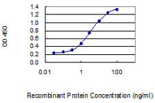 CFD Antibody in ELISA (ELISA)