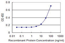 DLX3 Antibody in ELISA (ELISA)