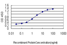 DLX5 Antibody in ELISA (ELISA)