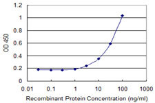 DPAGT1 Antibody in ELISA (ELISA)