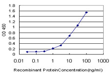 DPH2 Antibody in ELISA (ELISA)