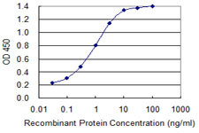 DPYSL2 Antibody in ELISA (ELISA)