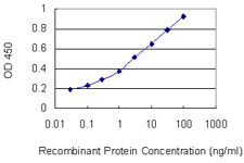 DSC2 Antibody in ELISA (ELISA)