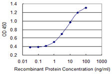 SLC26A2 Antibody in ELISA (ELISA)