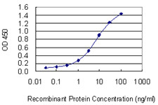 E2F3 Antibody in ELISA (ELISA)