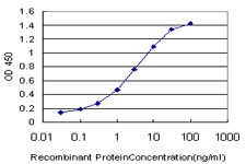 E2F4 Antibody in ELISA (ELISA)