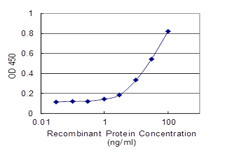 EBF1 Antibody in ELISA (ELISA)